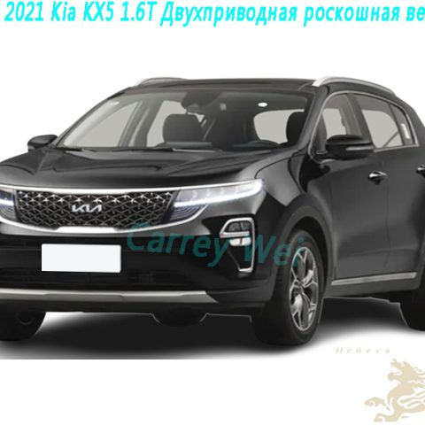 2021 Kia KX5 1.6T Двухприводная роскошная версия