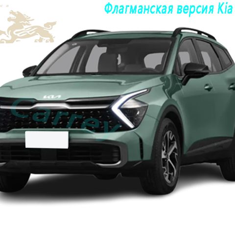 2022 Kia Lion Platinum Смешанная 2.0L двухприводная флагманская версия