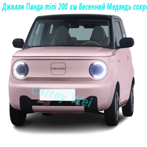 2023 Джилли Панда mini 200 км Весенний Медведь сокровищ