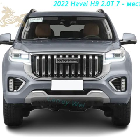 2022 Haval H9 2.0T 7 - местный