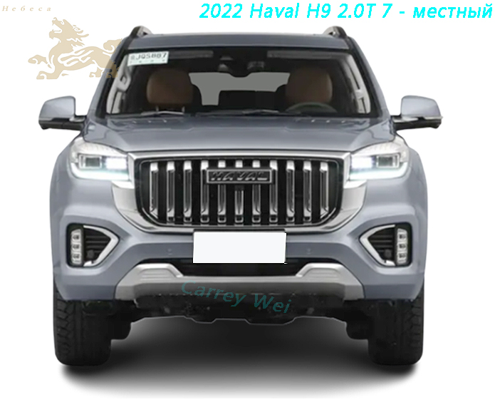 2022 Haval H9 2.0T 7 - местный