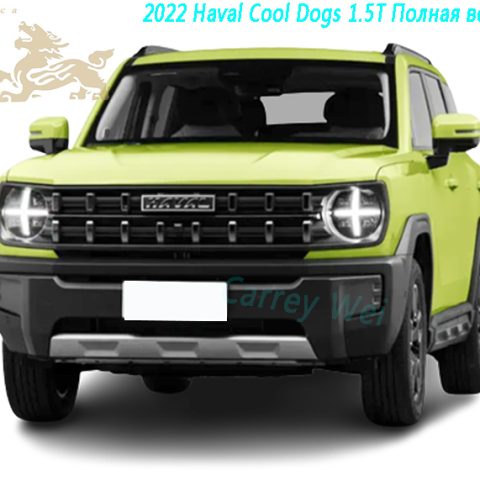 2022 Haval Cool Dogs 1.5T Полная версия