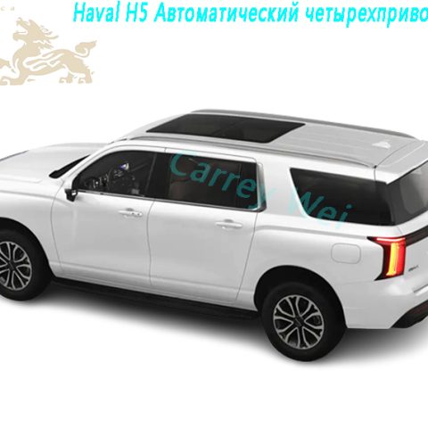 2023 Haval H5 2.0T Автоматический четырехприводной бензин（1）