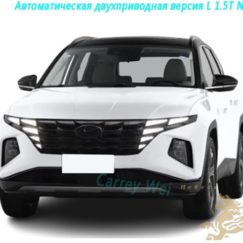 2023 Hyundai Toyota L 1.5T Автоматическая двухприводная флагманская версия N Line