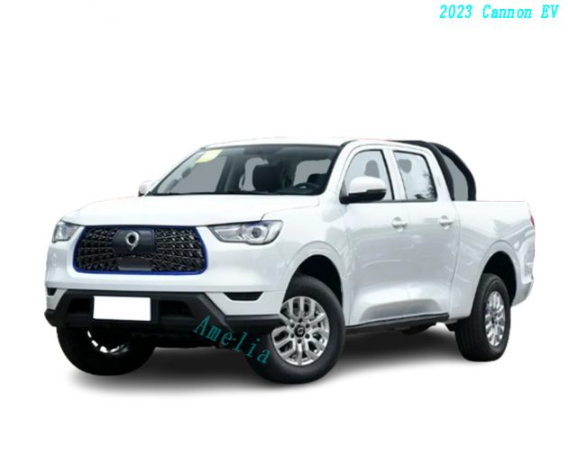 2023 Cannon EV Commercial Edition 405km Dashuang Elite（1）