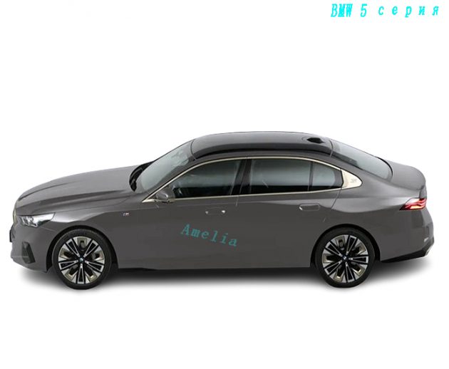 2024 BMW 5 серии 530Li Спортивный костюм M（1）