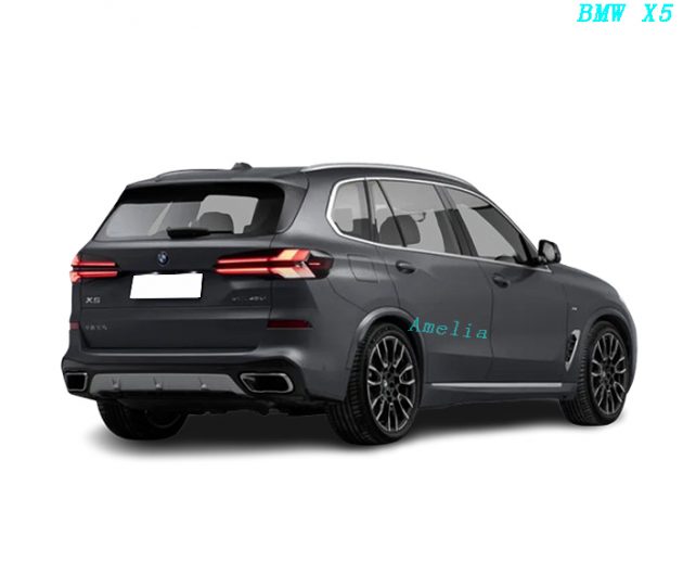 2023 BMW X5 xDrive40Li Купить M Sport Night（2）