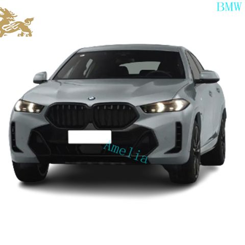 Модель BMW X6 2023 года в XDrive40i(3)