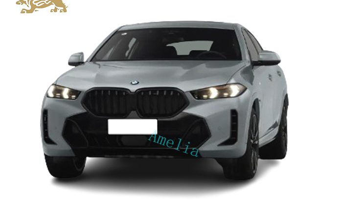 Модель BMW X6 2023 года в XDrive40i(3)