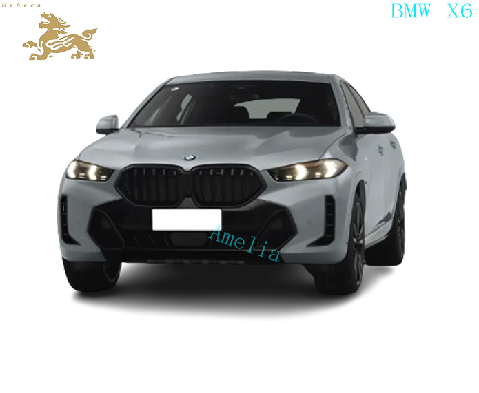 Модель BMW X6 2023 года в XDrive40i(3)