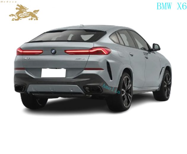 Модель BMW X6 2023 года в XDrive40i(1)