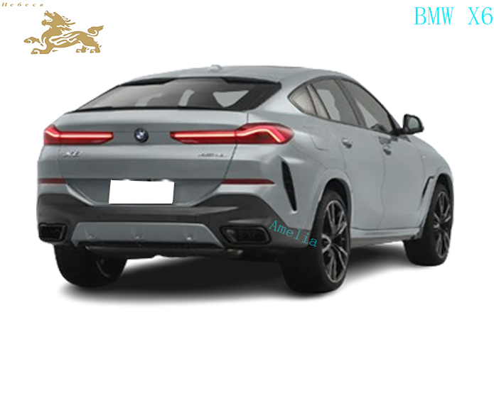 Модель BMW X6 2023 года в XDrive40i(1)